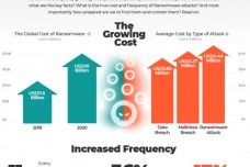 構筑數(shù)字時代的銅墻鐵壁 網(wǎng)絡安全與信息安全軟件開發(fā)探析