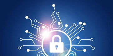 這個夏天，守護數(shù)字世界的六個安全小建議 | 聚焦網(wǎng)絡與信息安全軟件開發(fā)