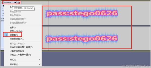 CTF 2023一帶一路金磚國家技能發(fā)展與技術創(chuàng)新大賽網(wǎng)絡安全在企業(yè)信息管理中的應用賽項線下總決賽 Misc1 題解WP