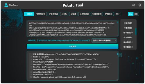 一鍵解密 網(wǎng)絡與信息安全軟件開發(fā)的新紀元